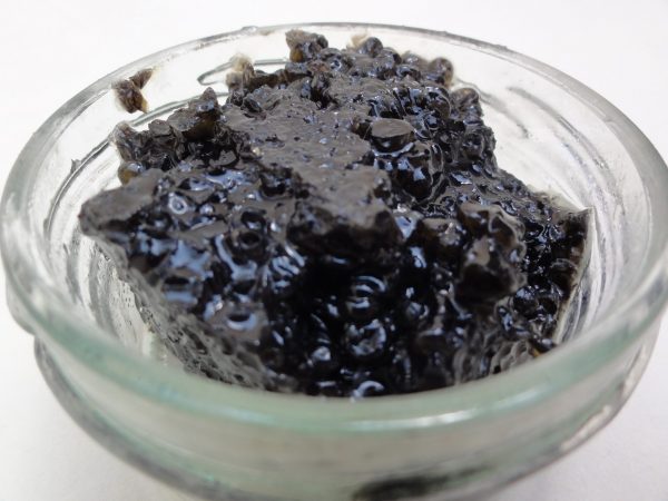 SHILAT Pressed Caviar (50gr) - Image 3