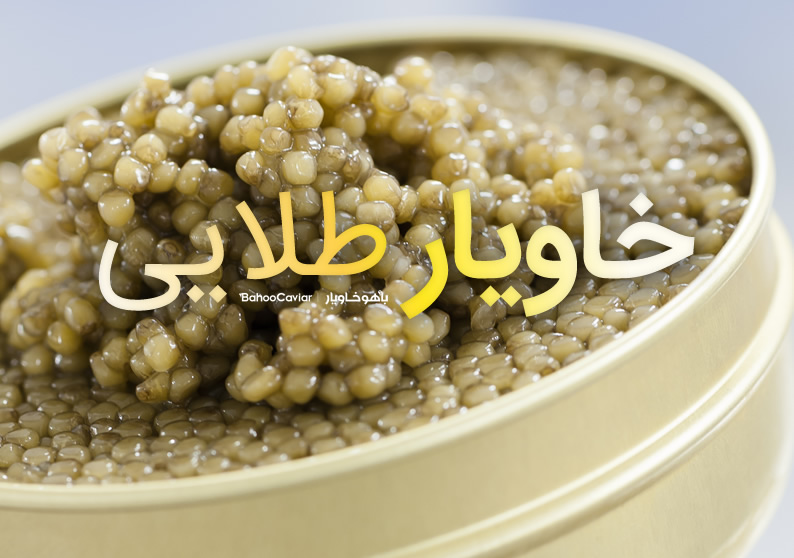 خاویار طلایی
