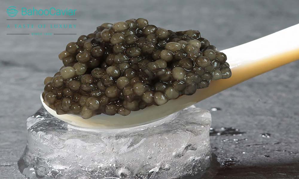 نگهداری خاویار