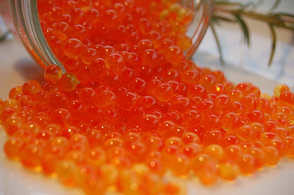 اشپل ماهی